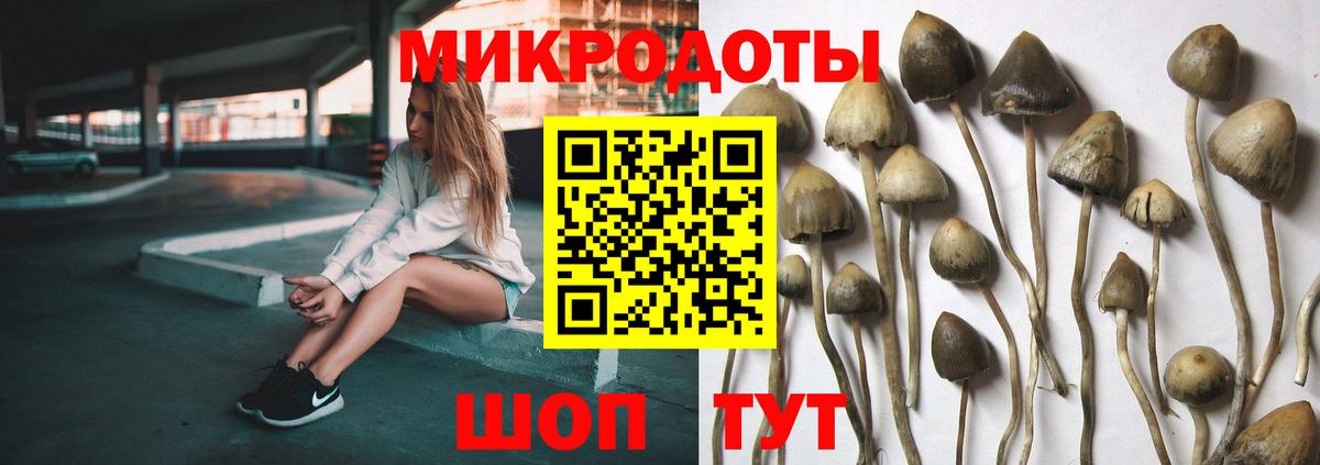 Галлюциногенные грибы MAGIC MUSHROOMS  Вход с VPN  Лесной  наркошоп  Галлюциногенные грибы мицелий 