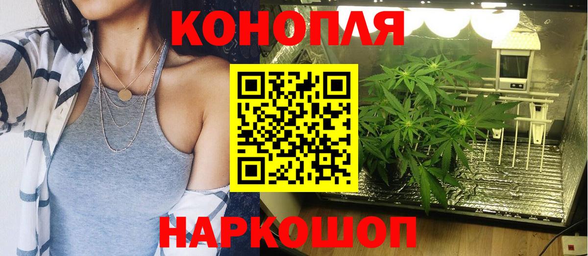 Лесной  Бошки Шишки ГИДРОПОН  Бошки марихуана Ganja  Вход с VPN  Бошки Шишки тримм 